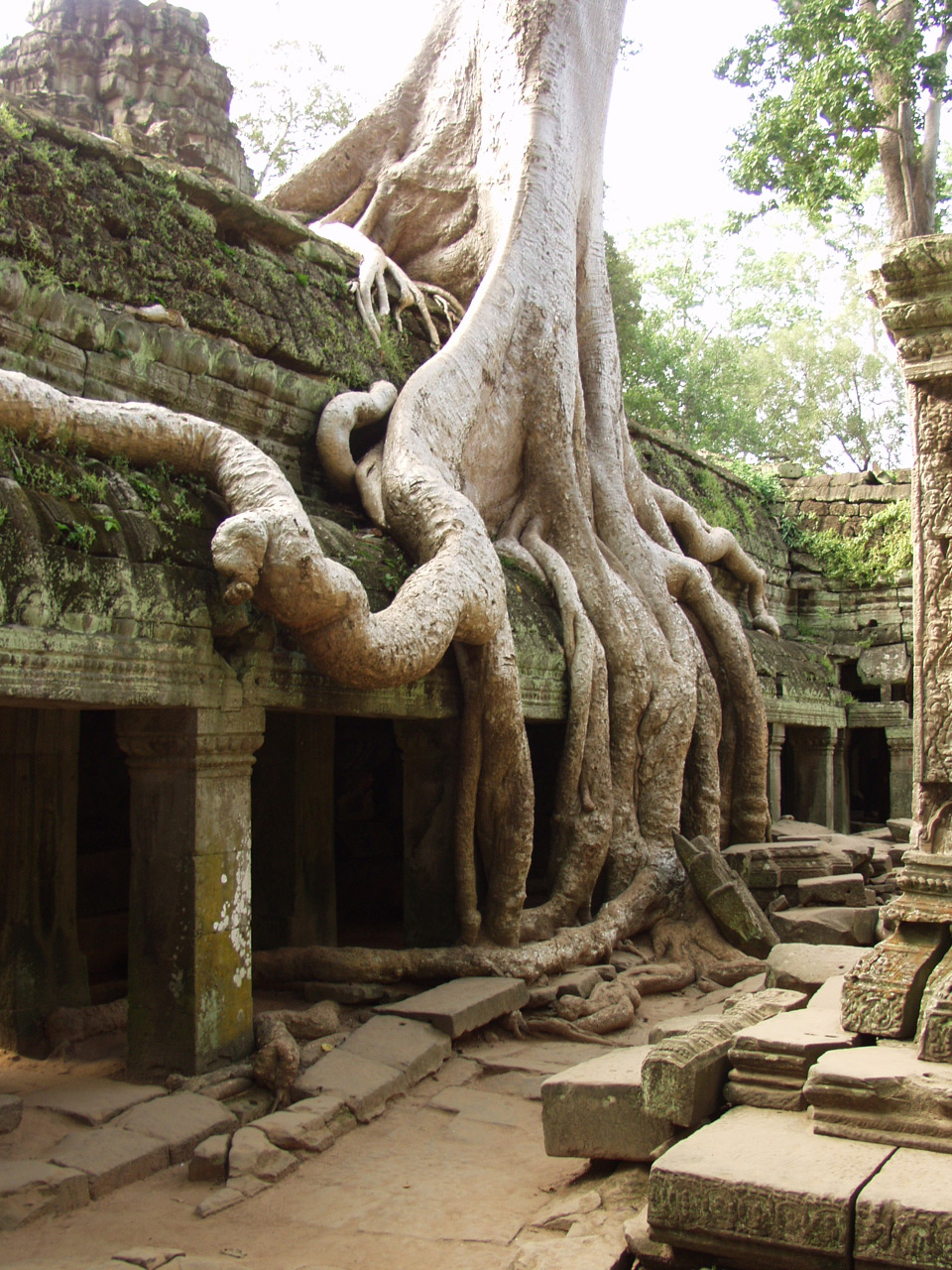 Ta Prohm